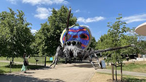 TS Maratus1