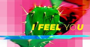 feelyou