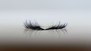 femaskara6