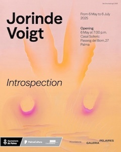 introsp1