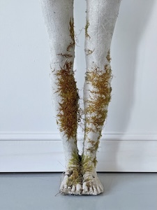 leg7155