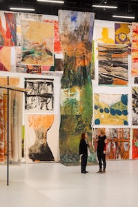 Vivian Suter