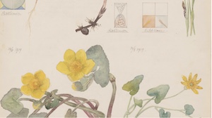 Hilma af Klint20.09.10