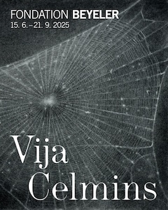 Vija Celmins