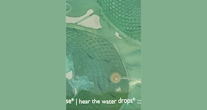 hearthe water