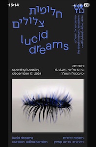luciddream13.56.55