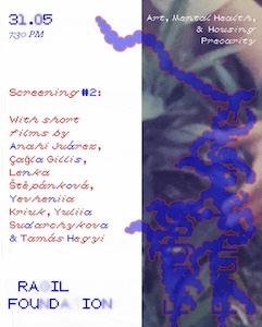 screen3123.52.21