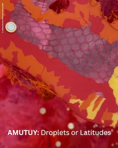amutuy2
