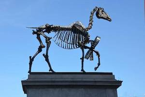 Hans Haacke