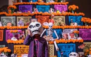 DiadeMuertosa