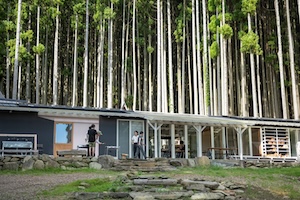 wald