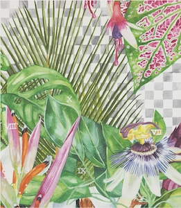 blume